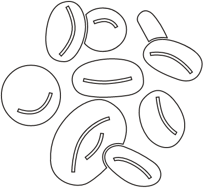 blood cells icon