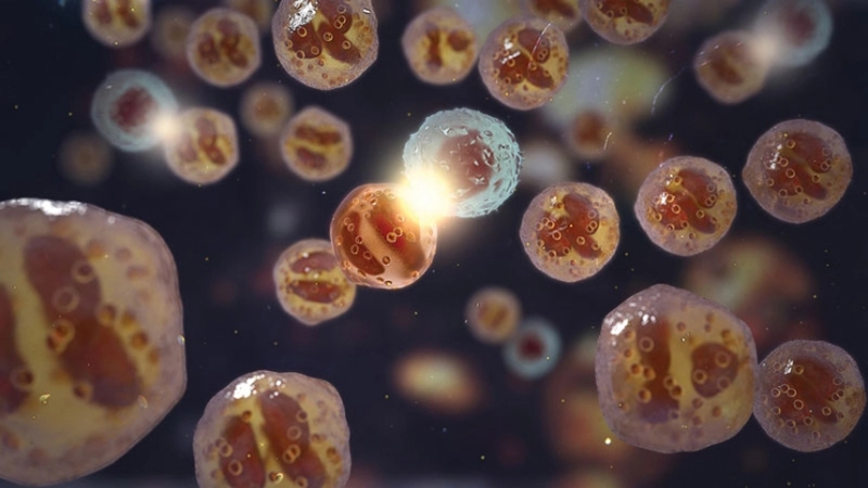 AstraZeneca in respiratory and immunology